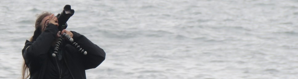 Banner Sandra